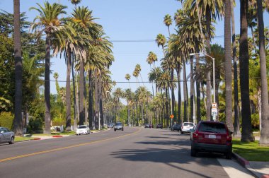 San Francisco, California, ABD 'de Gündüz Arabalar ve Palmiye Ağaçları.