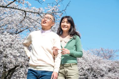 Güzel Asyalı olgun çift çiçek açan kiraz ağaçlarına karşı poz veriyor.