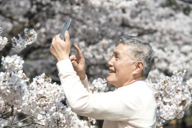 Çiçek açan ağaçlarla parkta yürürken akıllı telefon kullanan kıdemli bir Japon. 