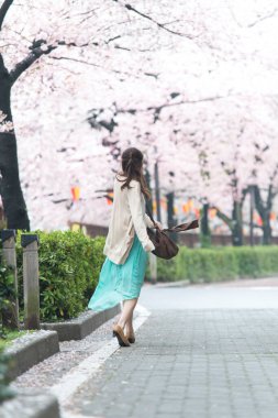 Parkta çiçek açan sakura ağaçlarıyla poz veren genç Asyalı kadın.