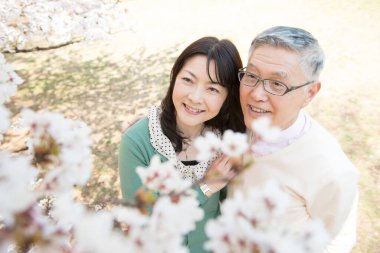 Güzel Asyalı olgun çift çiçek açan kiraz ağaçlarına karşı poz veriyor.