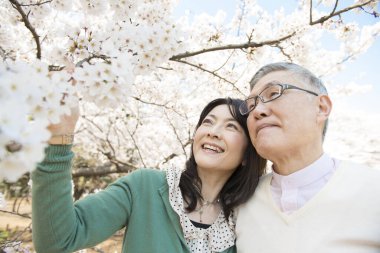 Güzel Asyalı olgun çift çiçek açan kiraz ağaçlarına karşı poz veriyor.