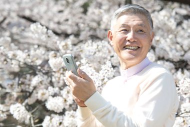 Çiçek açan ağaçlarla parkta yürürken akıllı telefon kullanan kıdemli bir Japon. 