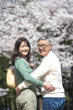 Güzel Asyalı olgun çift çiçek açan kiraz ağaçlarına karşı poz veriyor.