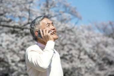 Çiçek açan ağaçlarla parkta yürürken akıllı telefon kullanan kıdemli bir Japon. 