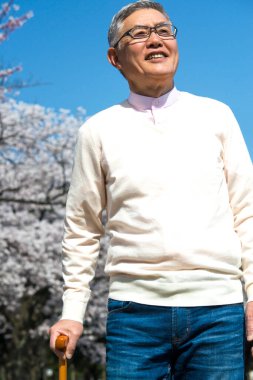 Parktaki çiçek açan ağaçlı yaşlı Asyalı adam.