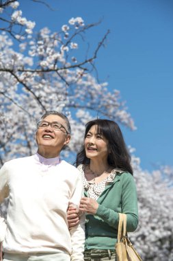 Güzel Asyalı olgun çift çiçek açan kiraz ağaçlarına karşı poz veriyor.