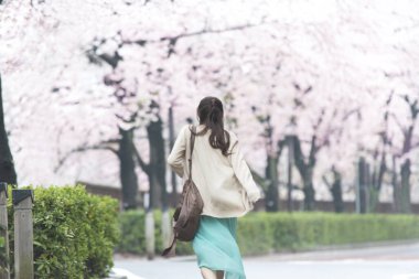 Parkta çiçek açan sakura ağaçlarıyla poz veren genç Asyalı kadın.