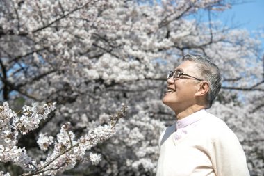 Parktaki çiçek açan ağaçlı yaşlı Asyalı adam.