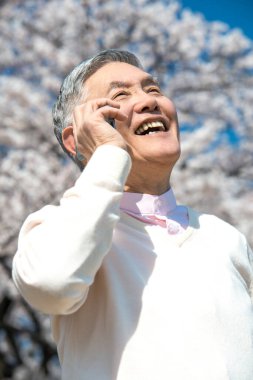 Çiçek açan ağaçlarla parkta yürürken akıllı telefon kullanan kıdemli bir Japon. 