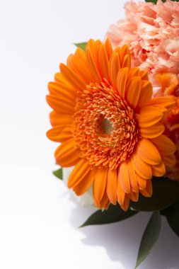 Turuncu çiçeğe yakın plan, çiçek arkaplanı. 