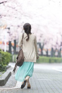 Parkta çiçek açan sakura ağaçlarıyla poz veren genç Asyalı kadın.
