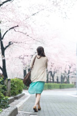 Parkta çiçek açan sakura ağaçlarıyla poz veren genç Asyalı kadın.