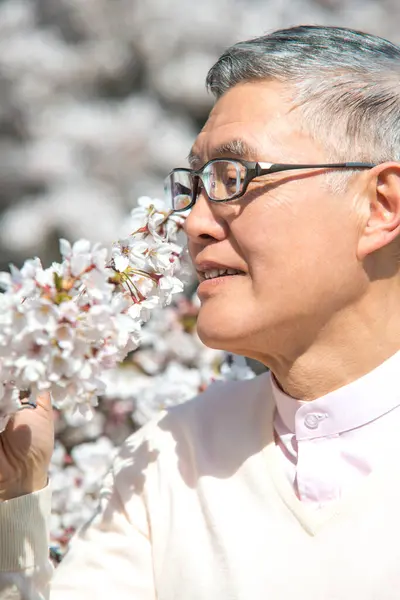 Senior Asiatisk Man Parken Med Blommande Träd — Stockfoto