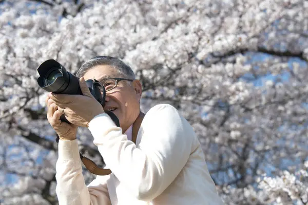 Olgun Asyalı fotoğrafçı parkta fotoğraf çekiyor.