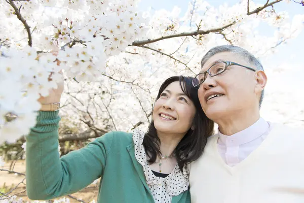 Kiraz çiçekli yaşlı çift