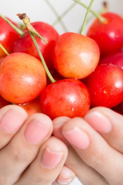 Taze kiraz tutan eller, yaklaşın.