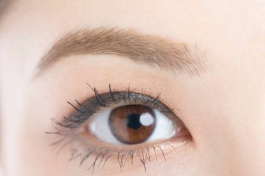 Genç ve güzel bir kadının portresi, yeni bir makyaj.