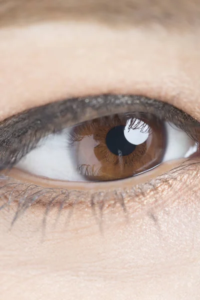 Close Brown Eye — стоковое фото