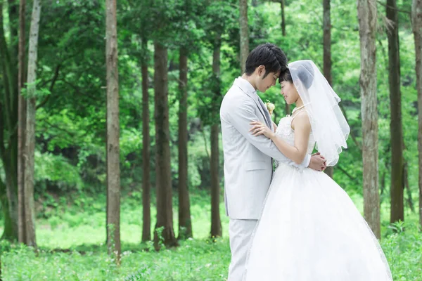 Asian Bride Groom Posing Park — Stock Photo, Image