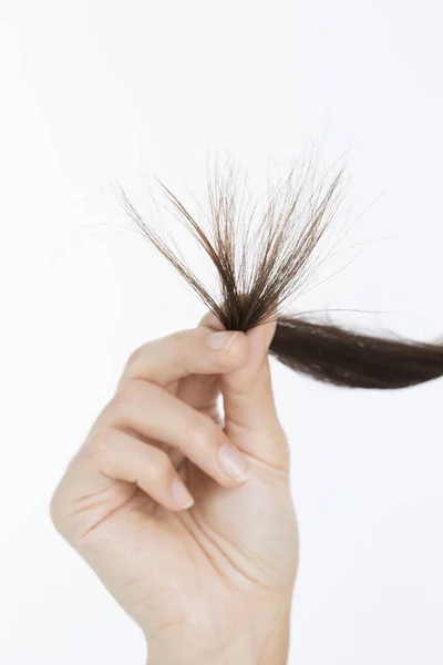 Woman Holding Her Long Hair Damaged Splitting Ends Hair Concept — Stock Photo, Image