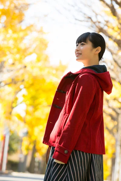Young Asian Girl Autumn Park — Stock Photo, Image
