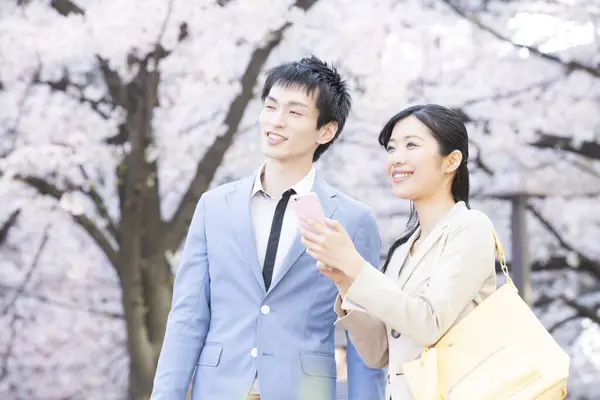 Parkta çiçek açan sakura ağaçları olan genç Asyalı çift.