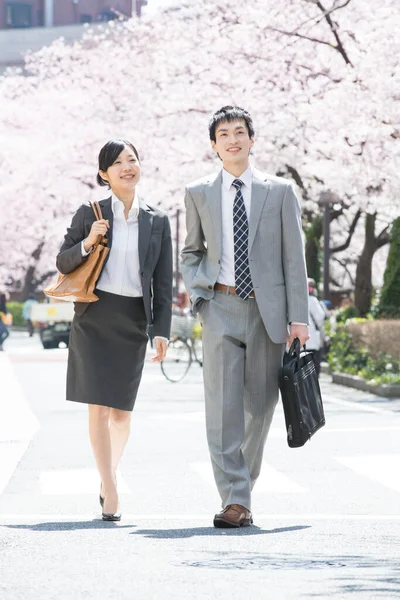 Двоє Японських Бізнесменів Міській Вулиці Вишневими Квітами — стокове фото