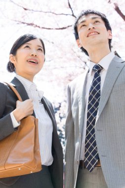 Şehir caddesinde kiraz çiçekleri olan iki Japon iş adamı.