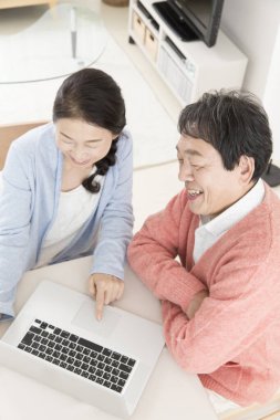 Dizüstü bilgisayar kullanan yaşlı çift.