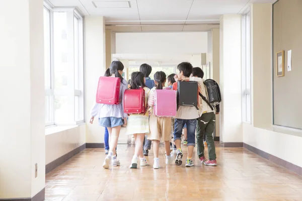 Grupa Japońskich Dzieci Plecakami Spacerujących Korytarzu Szkolnym Widok Tyłu — Zdjęcie stockowe