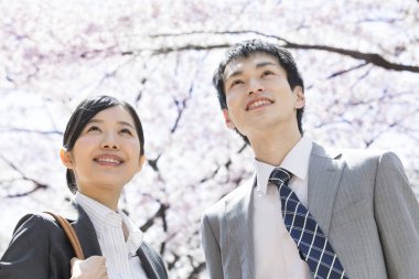 Şehir caddesinde kiraz çiçekleri olan iki Japon iş adamı.