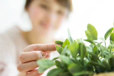 Yeşil yaprakları tutan kadın elleri