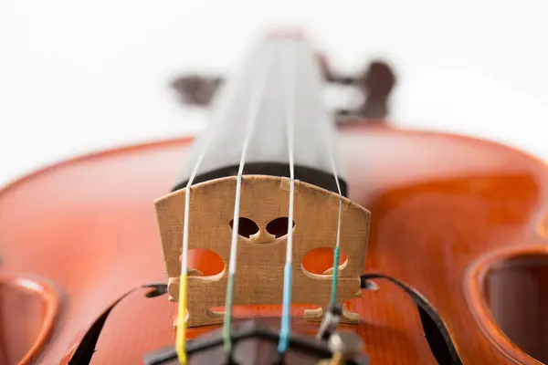 Close Visão Detalhada Violino Fundo Branco — Fotografia de Stock