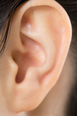 Esmer kadının kulağı, kapat.