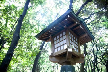 Japon ahşap fenerinin parktaki manzarasını kapat. 