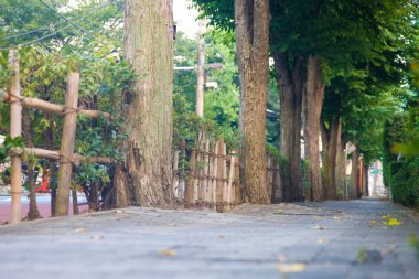 Yaz parkının güzel manzarası