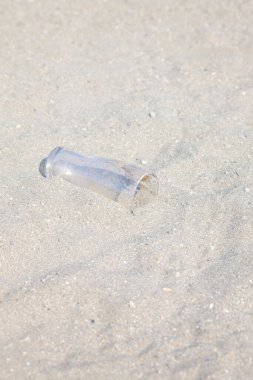 Kumlu sahil yüzeyinde şeffaf denizanaları yatıyor.