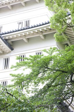 Beyaz Saray cephesi ve Japon şehrinde yeşil ağaç, güzel mimari. 