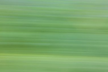 Gradyan yeşil ile soyut arkaplan