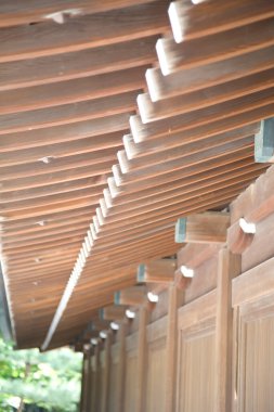 Bahçedeki güzel ahşap ev