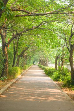 Yaz parkının güzel manzarası