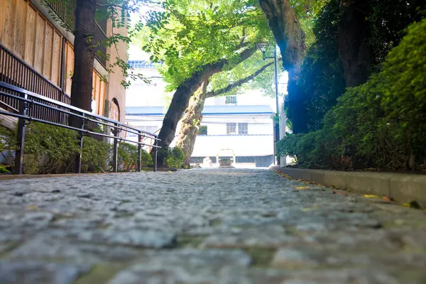Pavement Alley Summer Park — Stock Photo, Image