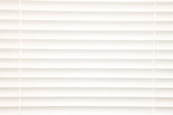 white blinds on the window