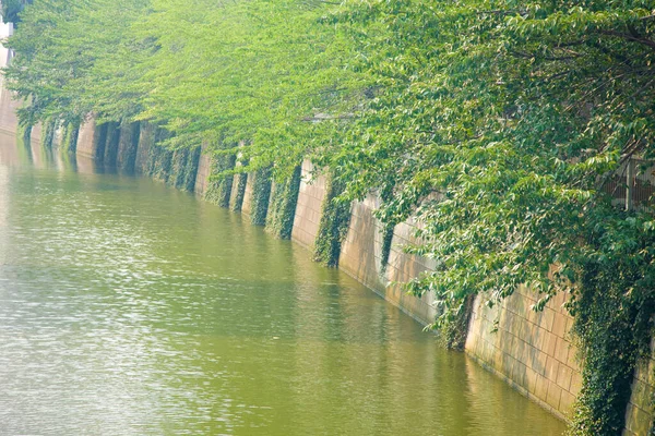 Canal Parque Verão — Fotografia de Stock