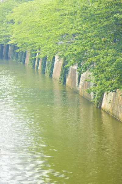 夏季公园的运河 — 图库照片