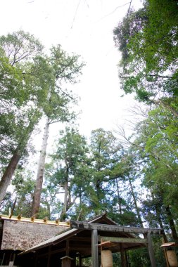 Parkın güzel manzarası.