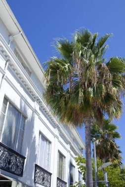Mavi gökyüzüne karşı balkonları ve palmiye ağaçları olan beyaz bir bina.