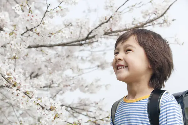 Mignon Garçon Japonais Enfant Avec Sac Dos Dans Parc Printemps — Photo