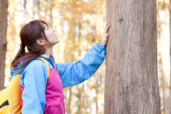 Jovem Mulher Japonesa Com Mochila Amarela Trekking Parque Outonal — Fotografia de Stock